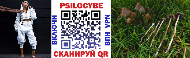 Купить закладки  Ивангород  Галлюциногенные грибы мухоморы 